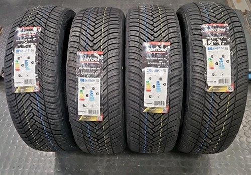215 r18 99v - r18,